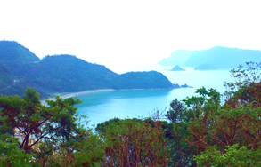 奄美大島の風景写真