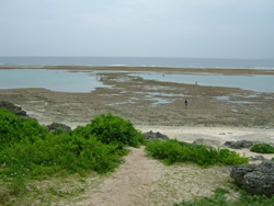写真：潮が引いた仲本海岸の干潟の様子