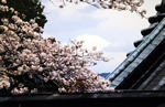 静岡浅間神社の本殿から望む富士山