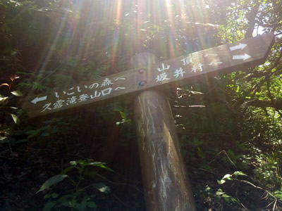 坊城平・久露滝登山口からの登山コースとの合流地点