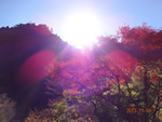 写真：惚岳渓谷から紅葉を望む