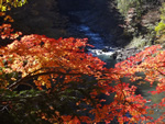 写真：惚岳渓谷の紅葉1