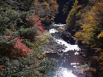 写真：惚岳渓谷の紅葉2