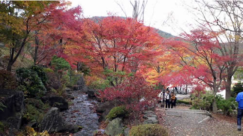 写真：第一の広場（池のある日本庭園）2
