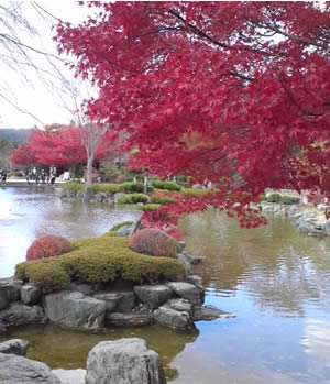 第一の広場（池のある日本庭園）の写真