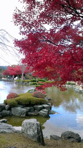 写真：第一の広場（池のある日本庭園）1
